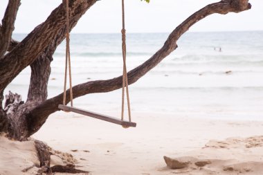 bir ağacın altında salıncak.