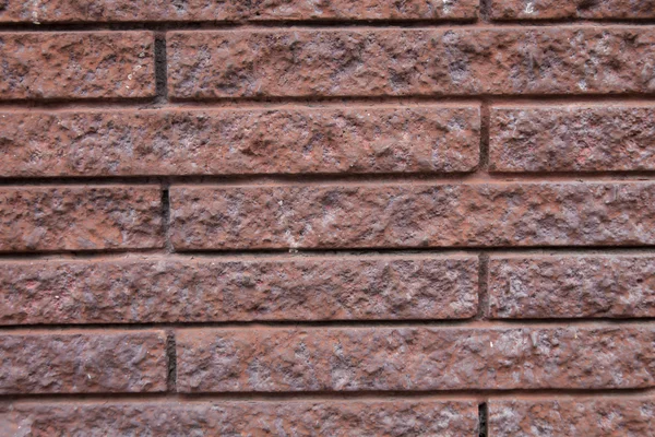 Brick wall. — Stock Photo, Image