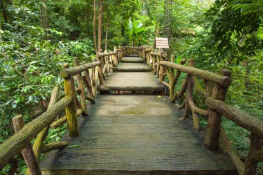 park içinde rotalar.