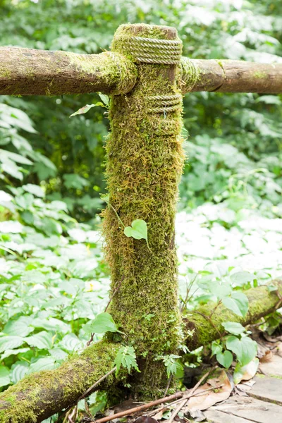 ロープの木材 — ストック写真