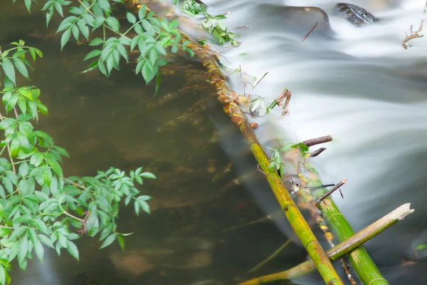 Presa aguas abajo —  Fotos de Stock