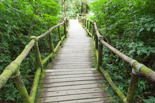 Puente de madera —  Fotos de Stock