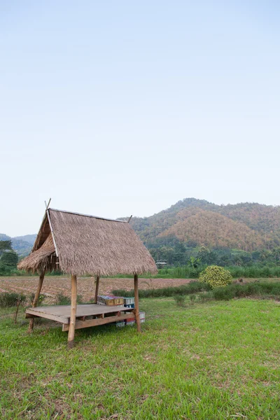 Hütte auf den Feldern — Stockfoto