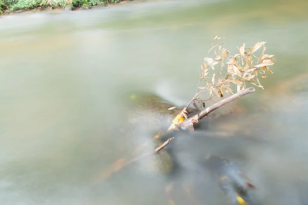 Água em córregos — Fotografia de Stock