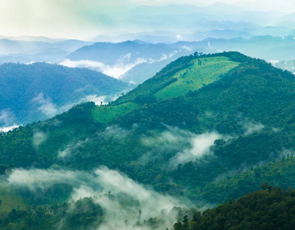 Montañas y bosques —  Fotos de Stock