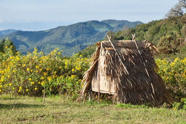 小屋在草坪上 — 图库照片