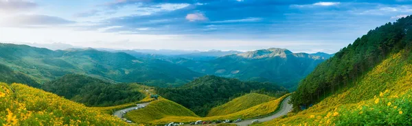 Panorama floresta de montanha e campo de flores . Fotos De Bancos De Imagens