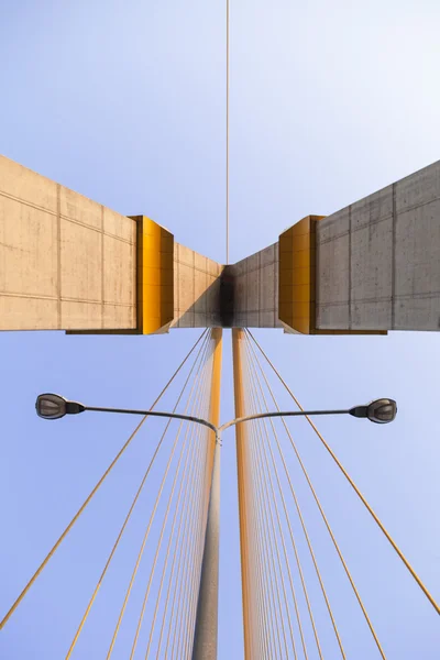 Rama VIII Köprüsü — Stok fotoğraf