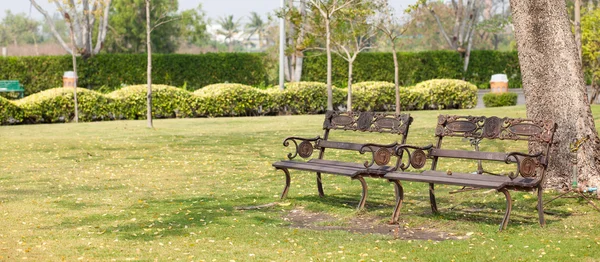 Benches on the lawn — Stockfoto