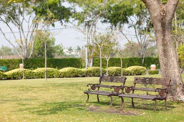 Benches on the lawn — Stockfoto
