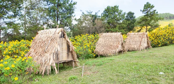 Hut on the lawn — Stock Photo, Image