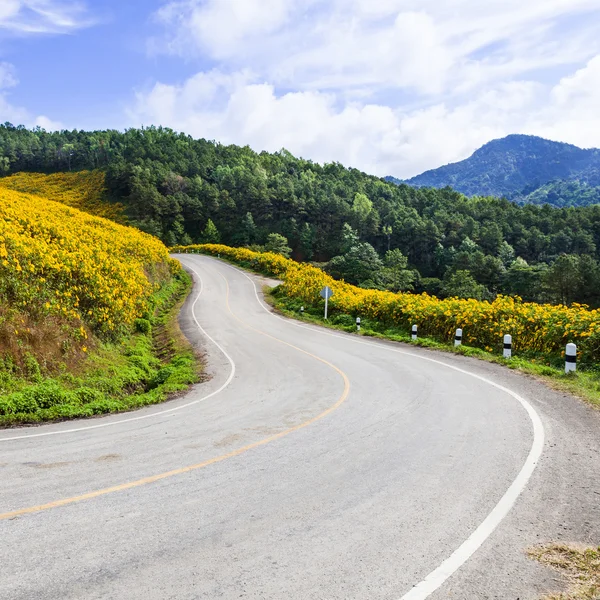 Curve road on a mountain — Stock Photo, Image