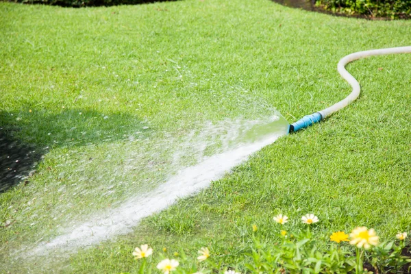 Water, gespoten op gazons. — Stockfoto