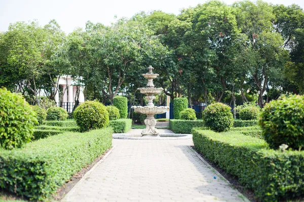 Piscinas de primavera en el parque —  Fotos de Stock