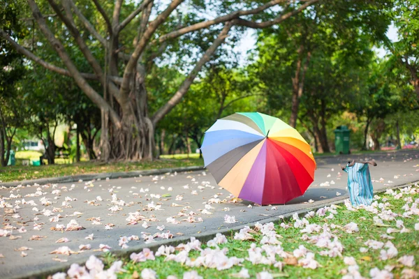 Зонтик на дорожке — стоковое фото