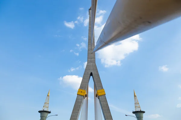 Rama VIII Köprüsü — Stok fotoğraf