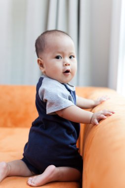Erkek Bebek
