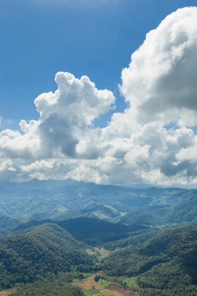 山、 森林与天空 — 图库照片