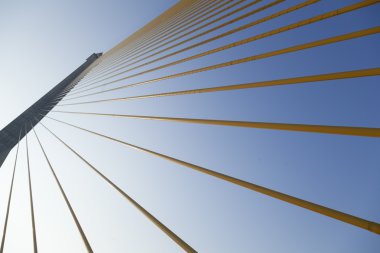 Rama VIII Köprüsü sabah