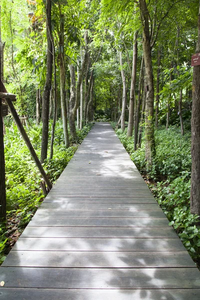 Drewniany most w parku — Zdjęcie stockowe