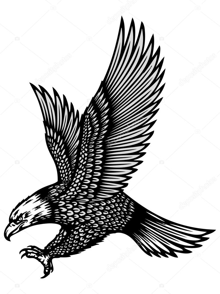 Attacking eagle illustration