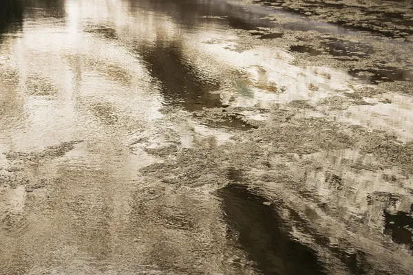 Pływających glonów tło — Zdjęcie stockowe