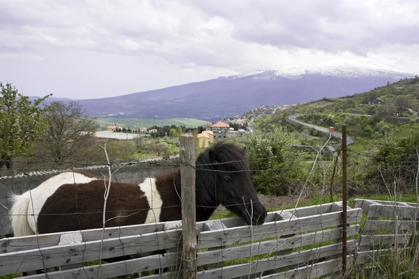 güzel İtalyan peyzaj
