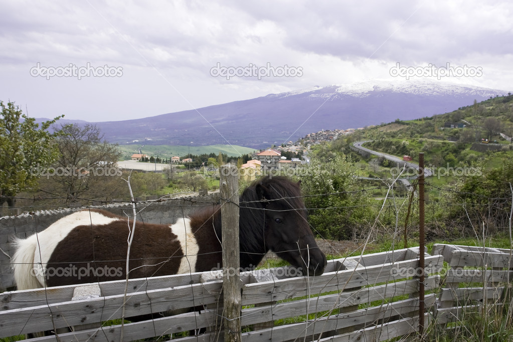 Picturesque italian landscape