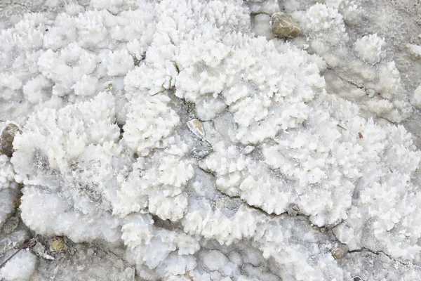 tuz, kayalar ve ölü deniz, yeryüzünde en düşük noktada su mineral çökeller yaptı