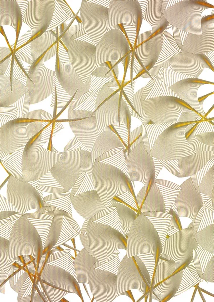 Color beige flores fondo —  Fotos de Stock