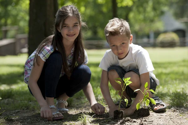 Niños plantando —  Fotos de Stock