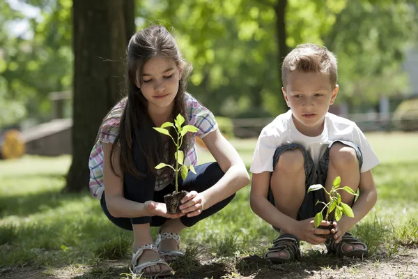 Kinder pflanzen — Stockfoto