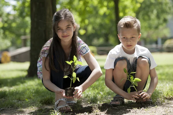 Kinder pflanzen — Stockfoto