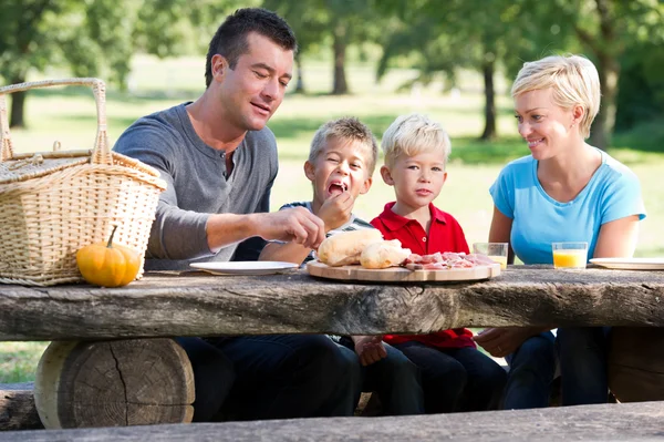 Família fazendo piquenique — Fotografia de Stock