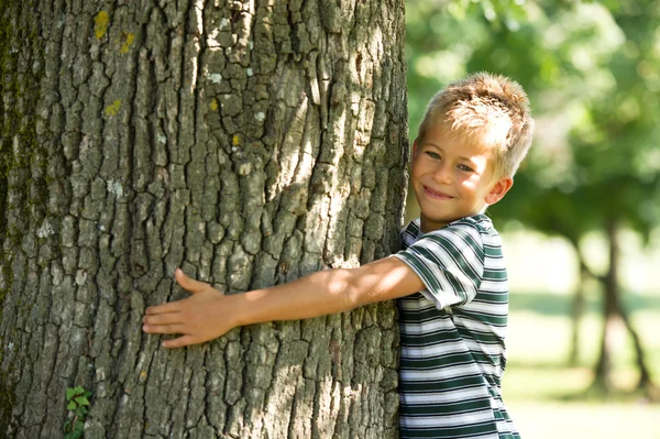 Pojke krama ett träd — Stockfoto