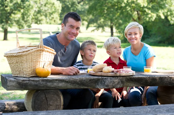 Familie beim Picknick — Stockfoto