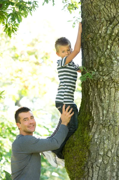 Мальчик залезает на дерево — стоковое фото
