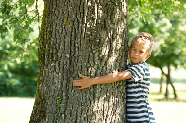 Ragazzo che abbraccia un albero — Foto Stock