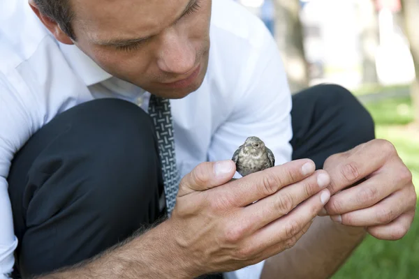 小さな鳥を持ったビジネスマン — ストック写真