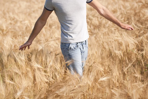 Man in een veld — Stockfoto