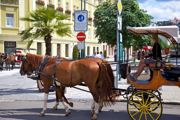 Horse carriage on a street in Karlovy Vary — Stock Photo, Image