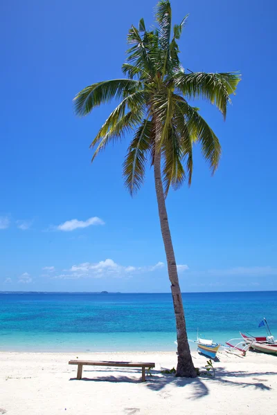 Palm tree on a white sand tropical beach on Malapascua island, Philippines — Stock Photo, Image