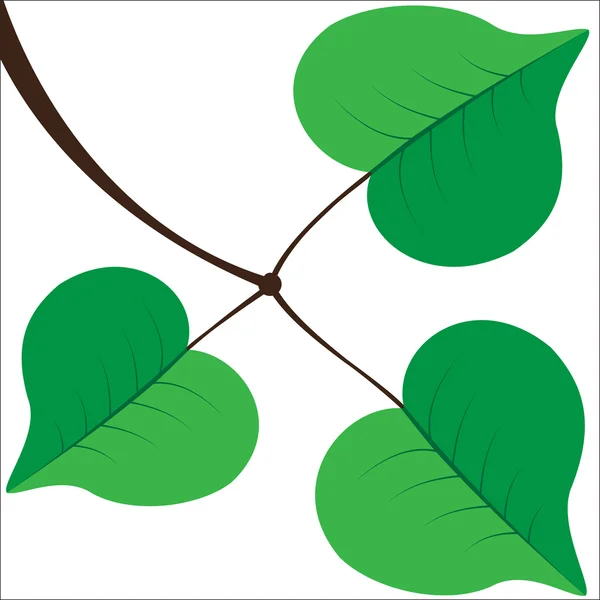 Κλαδί με φύλλα — Διανυσματικό Αρχείο