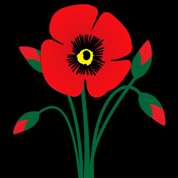 Fleur de pavot avec bourgeons — Image vectorielle
