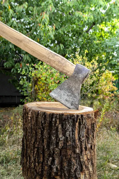 背景にぼやけた木の切り株の古い斧 — ストック写真