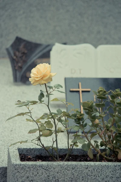 Mezarlığı pere lachaise — Stok fotoğraf