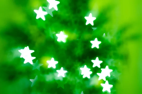 Зелёная ель — стоковое фото
