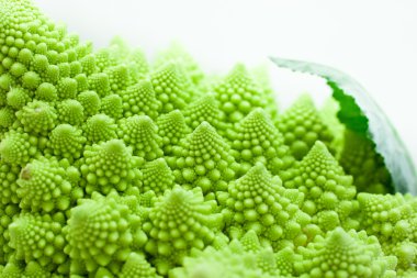 lahana romanesco, brassica oleracea