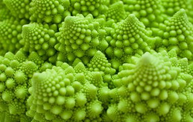 lahana romanesco, brassica oleracea