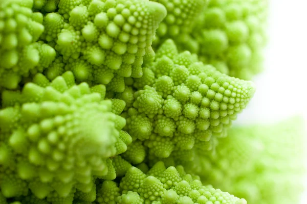 Cavoli romanesco, Brassica oleracea — Foto Stock